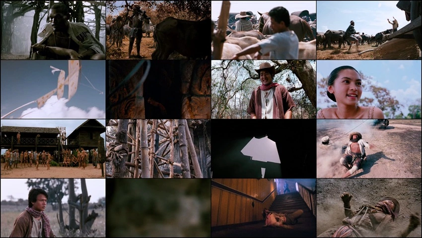 Dynamite Warrior | 2006 | Hindi-English | 480p 720p 1080p Dynamite Warrior | 2006 | Hindi-English | 480p 720p 1080p