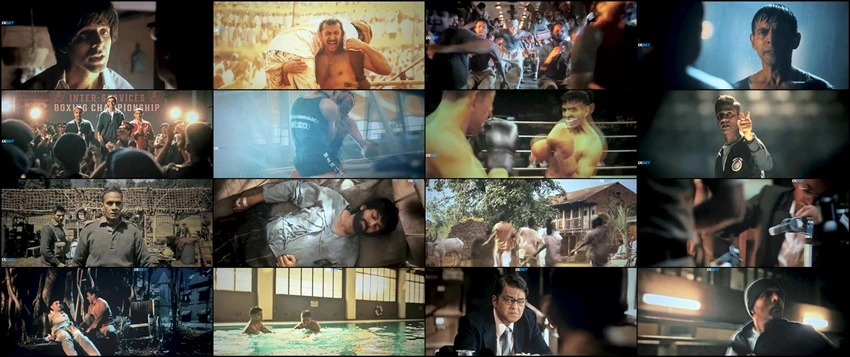 Chandu Champion | 2024 | Hindi | 480p 720p 1080p Chandu Champion | 2024 | Hindi | 480p 720p 1080p