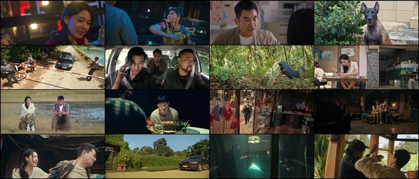 Fierce Cop | 2022 | Hindi-Chinese | 480p 720p 1080p Fierce Cop | 2022 | Hindi-Chinese | 480p 720p 1080p