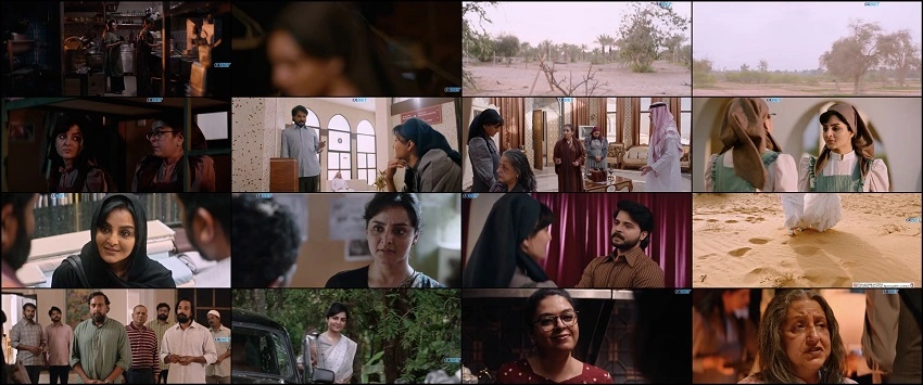 Ayisha | 2023 | Hindi Dubbed | 480p 720p 1080p Ayisha | 2023 | Hindi Dubbed | 480p 720p 1080p