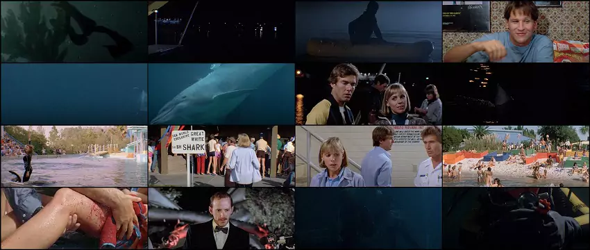 Download Jaws 3 – Jaws 3-D | 1983 | Hindi-English | 480p 720p 1080p Download Jaws 3 – Jaws 3-D | 1983 | Hindi-English | 480p 720p 1080p