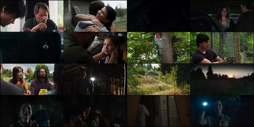 Download The Beehive | 2023 | Hindi-English | 480p 720p Download The Beehive | 2023 | Hindi-English | 480p 720p