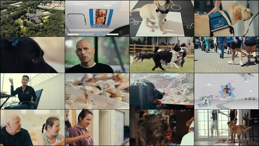 Inside The Mind Of A Dog | 2024 | Hindi-English | 480p 720p 1080p Inside The Mind Of A Dog | 2024 | Hindi-English | 480p 720p 1080p