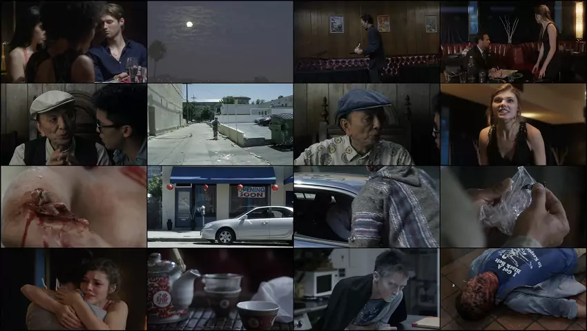 Fortune Cookie | 2016 | Hindi-English | 480p 720p Fortune Cookie | 2016 | Hindi-English | 480p 720p