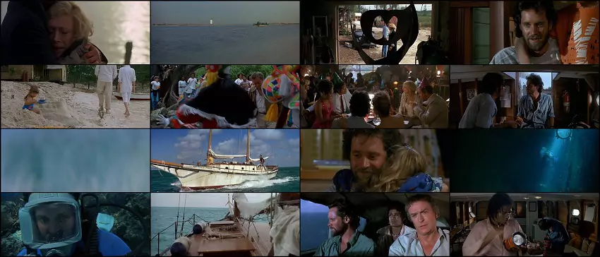 Download Jaws 4: The Revenge | 1987 | Hindi-English | 480p 720p 1080p Download Jaws 4: The Revenge | 1987 | Hindi-English | 480p 720p 1080p