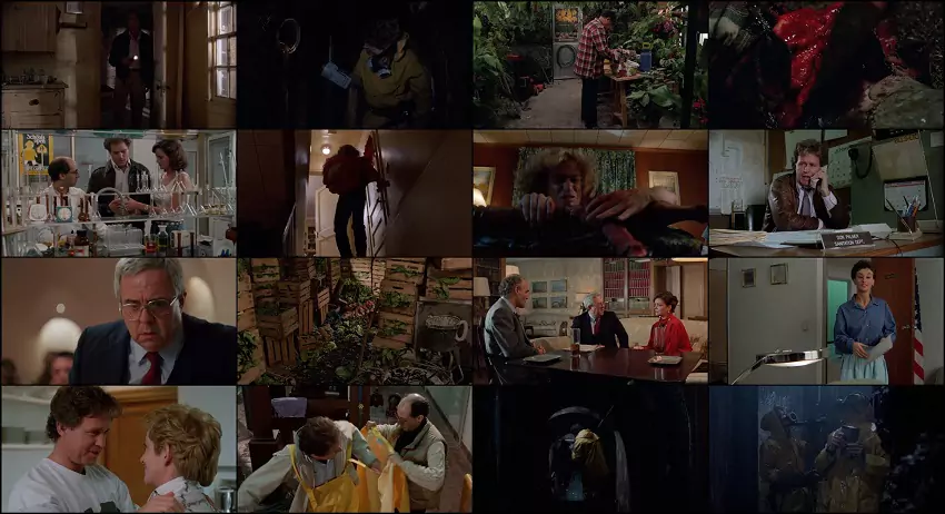 Slugs | 1988 | Hindi-English | 480p 720p 1080p Slugs | 1988 | Hindi-English | 480p 720p 1080p