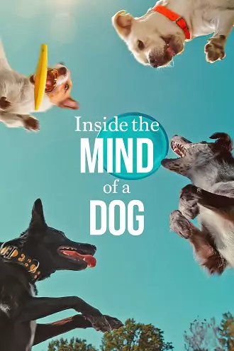 Inside The Mind Of A Dog | 2024 | Hindi-English | 480p 720p 1080p Inside The Mind Of A Dog | 2024 | Hindi-English | 480p 720p 1080p