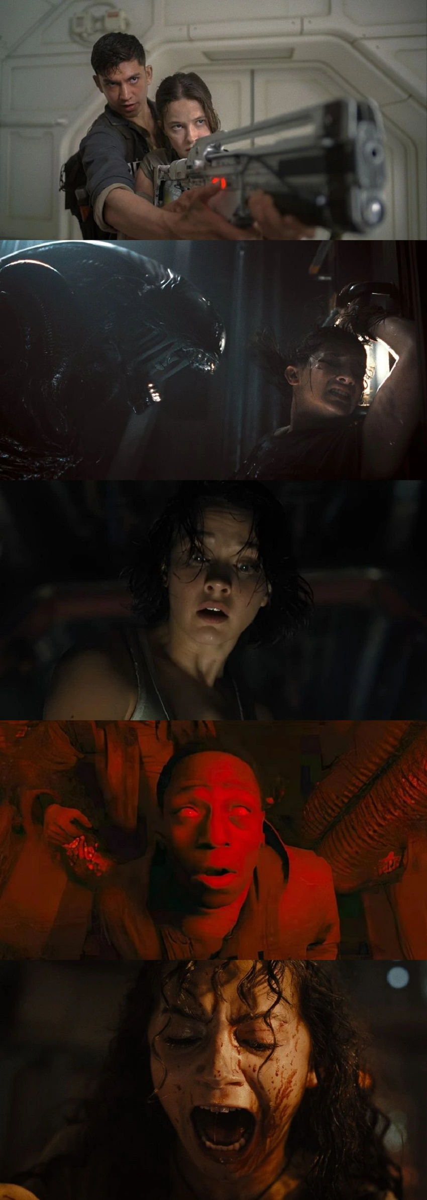 Download Alien: Romulus | 2024 | Hindi DSNP DDP 5.1 – English DDP 5.1 | 480p 720p 1080p Download Alien: Romulus | 2024 | Hindi DSNP DDP 5.1 – English DDP 5.1 | 480p 720p 1080p