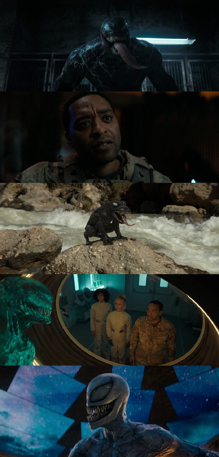 Download Venom: The Last Dance | 2024 | Hindi-English | 480p 720p 1080p Download Venom: The Last Dance | 2024 | Hindi-English | 480p 720p 1080p