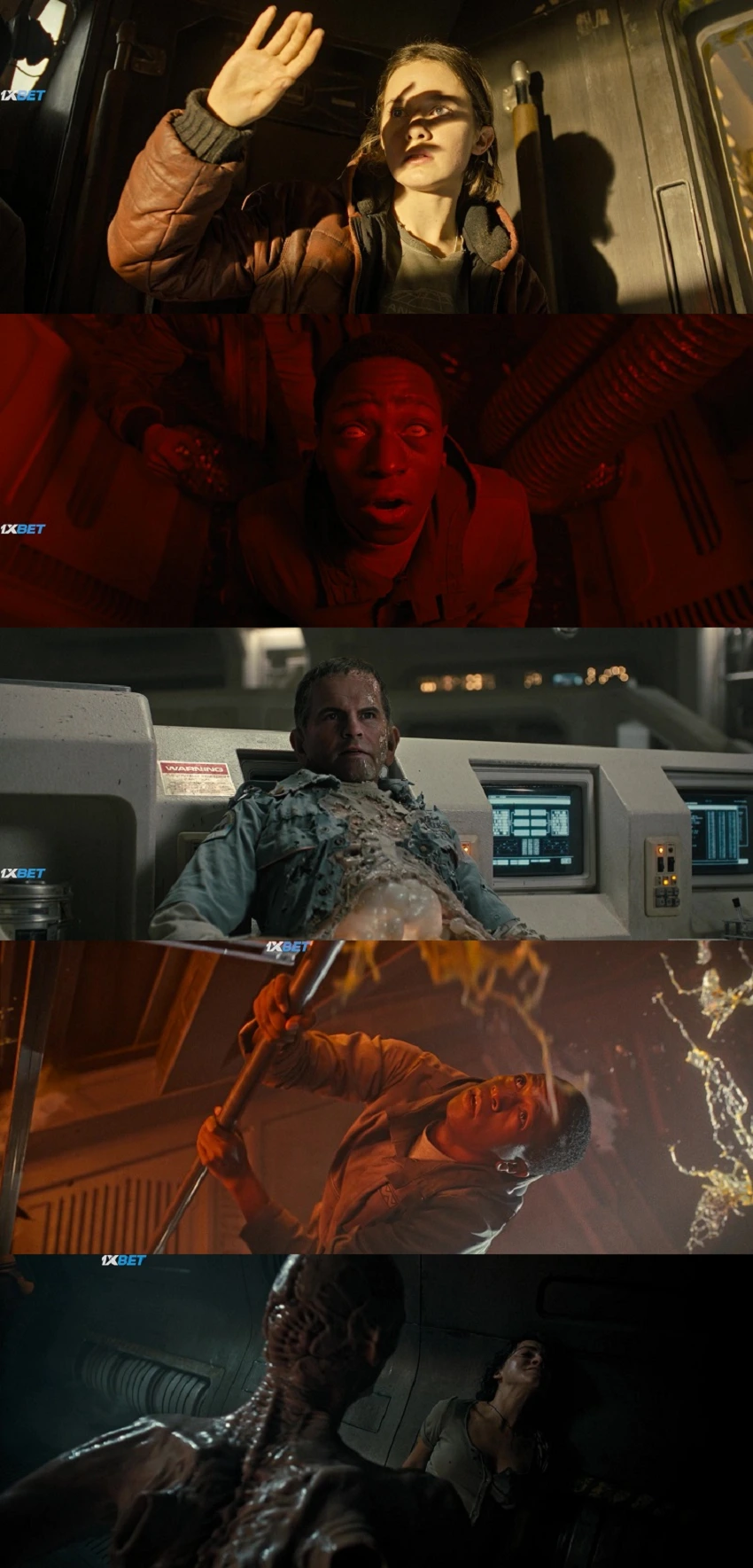 Download Alien: Romulus | 2024 | Hindi (LiNE) & English | 480p 720p 1080p Download Alien: Romulus | 2024 | Hindi (LiNE) & English | 480p 720p 1080p