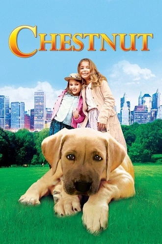 Download Chestnut: Hero of Central Park | 2004 | Hindi-English | 480p 720p 1080p Download Chestnut: Hero of Central Park | 2004 | Hindi-English | 480p 720p 1080p