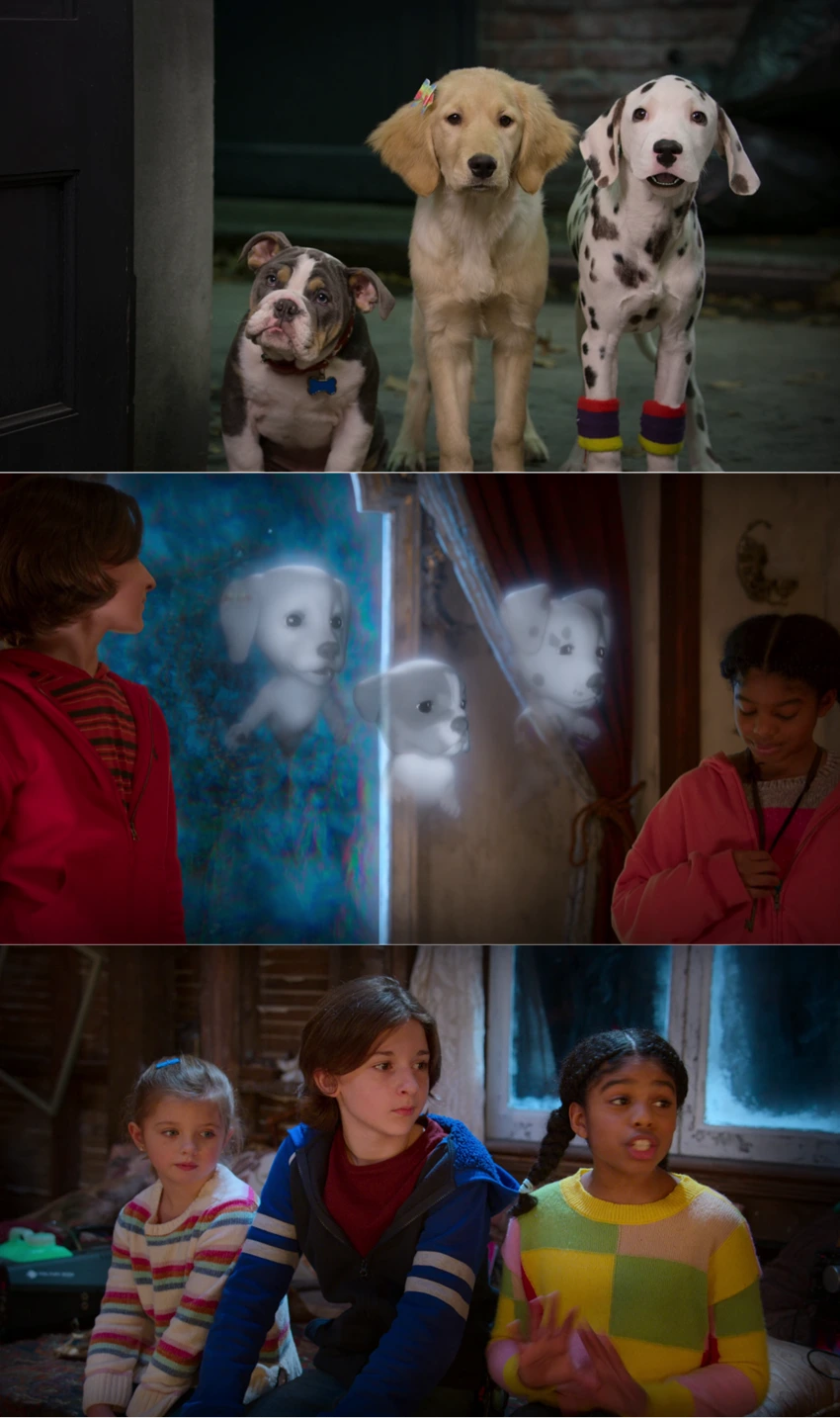 Download Phantom Pups | 2022 | Season 1 Complete Dual Audio {Hindi-English} Web Series | 480p 720p 1080p Download Phantom Pups | 2022 | Season 1 | {Hindi-English-} | Web Series | 480p 720p 1080p | MoviesNation