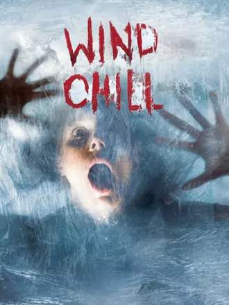 Download Wind Chill | 2007 | Hindi - English | Dual Audio | Full Movie 480p 720p 1080p