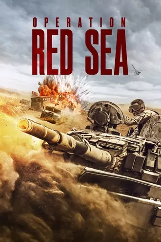 Download Operation Red Sea | 2018 | Hindi-English | Dual Audio | BluRay | Full Movie 480p 720p 1080p